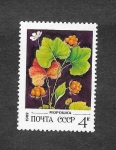 Stamps Russia -  5023 - Planta