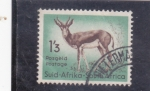 Stamps South Africa -  GACELA