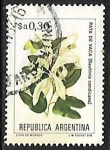 Stamps Argentina -  Pata de Vaca