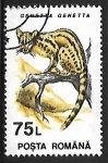 Stamps Romania -  Genetta genetta