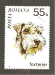 Stamps Romania -  INTERCAMBIO 