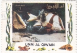 Stamps United Arab Emirates -  PECES TROPICALES