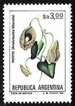 Stamps Argentina -  Aristolochia littoralis (patito)