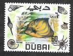 Stamps United Arab Emirates -  105 - Pez Ángel