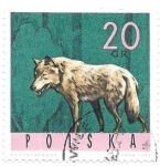 Stamps Poland -  fauna