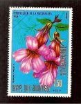 Stamps Equatorial Guinea -  INTERCAMBIO