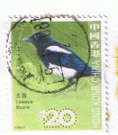 Stamps China -  Common Magpie