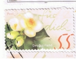 Stamps Germany -  Alemania 10