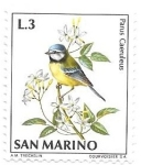 Stamps San Marino -  aves