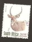 Stamps South Africa -  1033