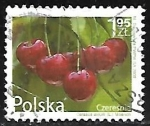 Stamps Poland -  Frutas - Cerezas 