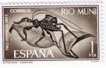 Stamps Spain -  Rio Muni  Pro Infancia 1965  Acridoxena  Hewaniana