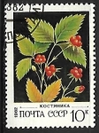 Stamps Russia -  Frutas - Zarzamora