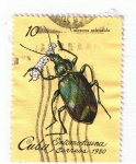 Stamps Cuba -  Entomosfauna  Calosoma Splendida