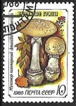 Stamps Russia -  Setas - Amanita pantherina