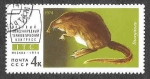 Stamps Russia -  4198 - Fauna de la URSS