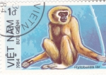 Stamps Vietnam -  primate