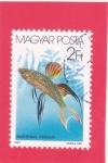 Stamps Hungary -   Pez arco iris threadfin (Iriatherina werneri)