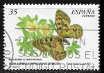 Stamps Spain -  Parnassius apollo