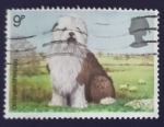 Stamps United Kingdom -  Perros