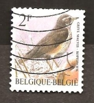 Stamps Belgium -  CAMBIADO DM