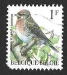 Stamps Belgium -  1432 - Pardillo Norteño