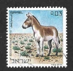 Stamps Israel -  437 - Asno Salvaje Sirio