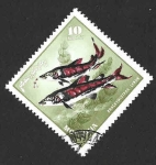 Stamps Mongolia -  390 - Lenok de Hocico Afilado 