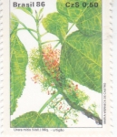 Stamps Brazil -  Flora