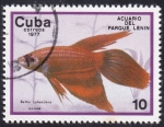 Stamps Cuba -  Betta splendens