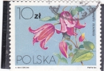 Stamps Poland -  FLORES