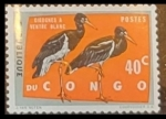 Stamps Republic of the Congo -  Ciconia abdimii