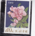 Stamps North Korea -  FLORES