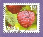 Stamps Poland -  INTERCAMBIO