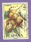 Stamps Spain -  INTERCAMBIO