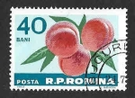 Stamps Romania -  1569 - Melocotones