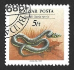 Stamps Hungary -  3192 - Serpiente de Collar