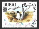 Stamps United Arab Emirates -  Yt100AG - Charrancito Común (DUBAI)