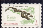 Stamps Romania -  Zoológico de Bucarest-serpiente pitón