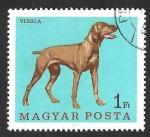 Stamps Hungary -  1837 - Pointer