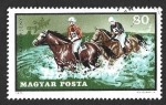 Stamps Hungary -  2099 - Deportes Ecuestres