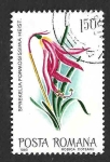 Stamps Romania -  2952 - Lirio Azteca