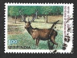 Stamps India -  1019 - L Aniversario del Parque Nacional de Kanha