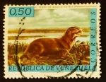 Stamps America - Venezuela -  Nutria gigante 