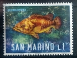 Stamps San Marino -  Epinephelus marginatus