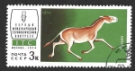 Stamps Russia -  4197 - Antílope Saiga