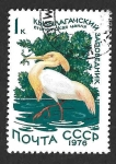 Stamps : Europe : Russia :  4465 -  Garcilla Bueyera