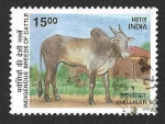 Stamps Asia - India -  1819 - Cebú Hallikar