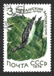 Stamps Russia -  4466 - Colimbo Ártico