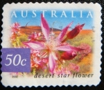 Stamps : Oceania : Australia :  Desert star flower